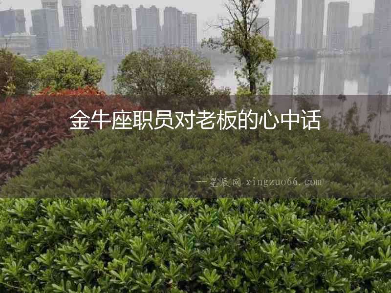 金牛座職員對(duì)老板的心中話