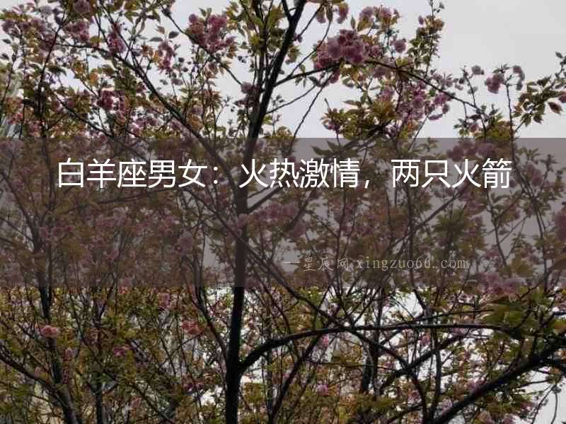 白羊座男女：火熱激情，兩只火箭
