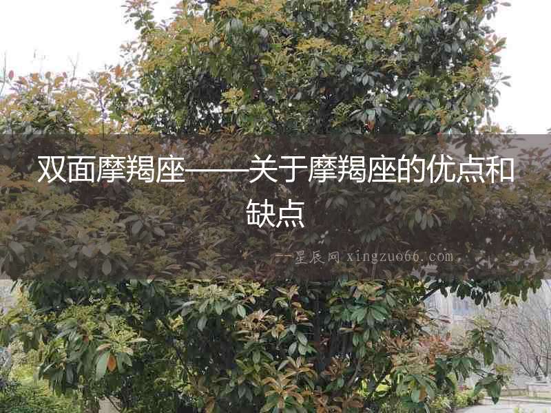 雙面摩羯座——關(guān)于摩羯座的優(yōu)點和缺點