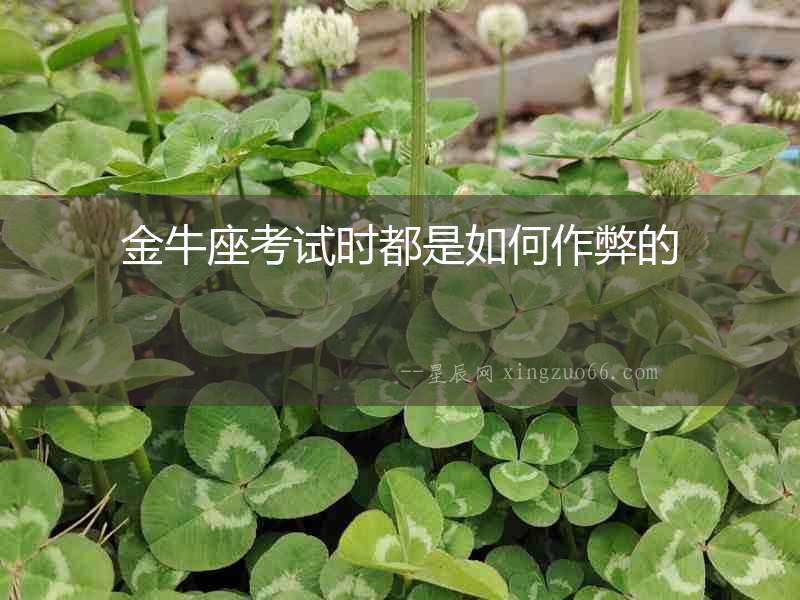 金牛座考試時(shí)都是如何作弊的