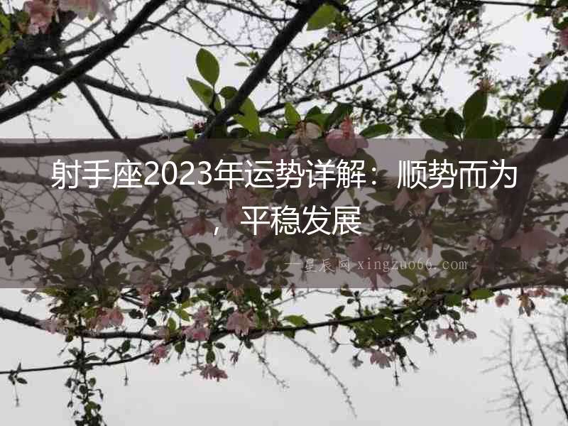 射手座2023年運勢詳解：順勢而為，平穩(wěn)發(fā)展