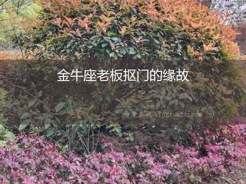 金牛座老板摳門(mén)的緣故