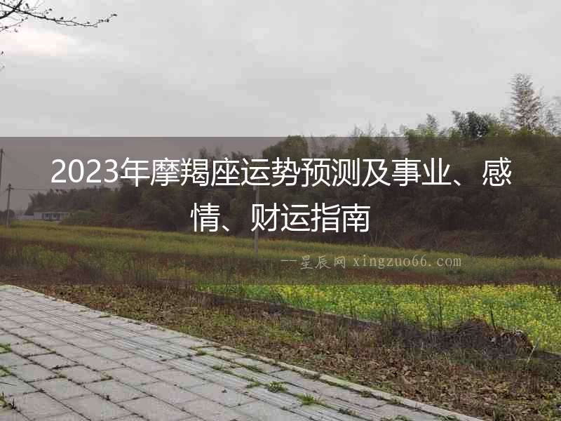 2023年摩羯座運(yùn)勢(shì)預(yù)測(cè)及事業(yè)、感情、財(cái)運(yùn)指南