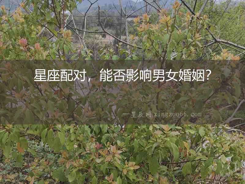 星座配對(duì)，能否影響男女婚姻？