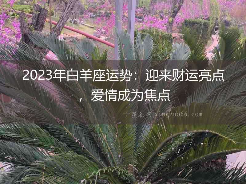 2023年白羊座運(yùn)勢：迎來財(cái)運(yùn)亮點(diǎn)，愛情成為焦點(diǎn)