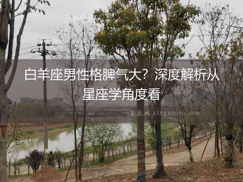 白羊座男性格脾氣大？深度解析從星座學角度看