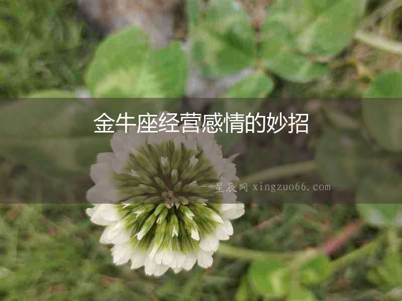 金牛座經營感情的妙招