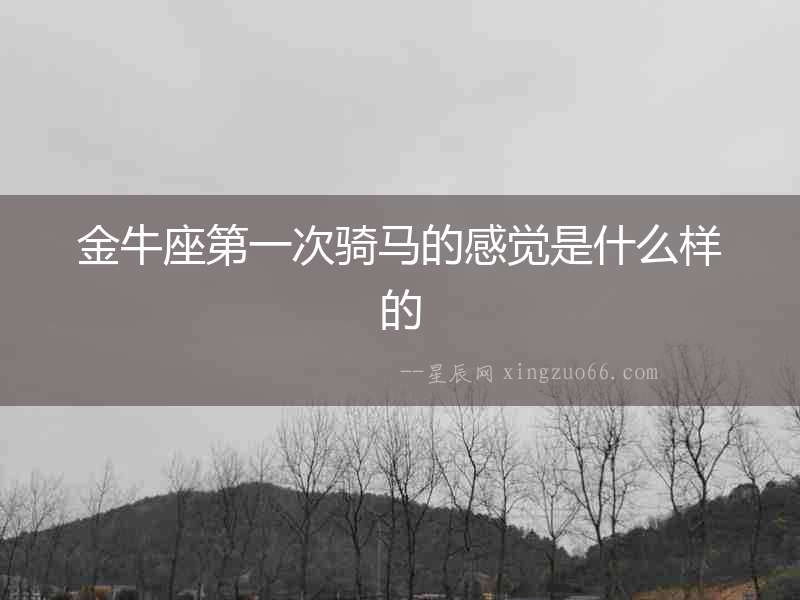 金牛座第一次騎馬的感覺是什么樣的
