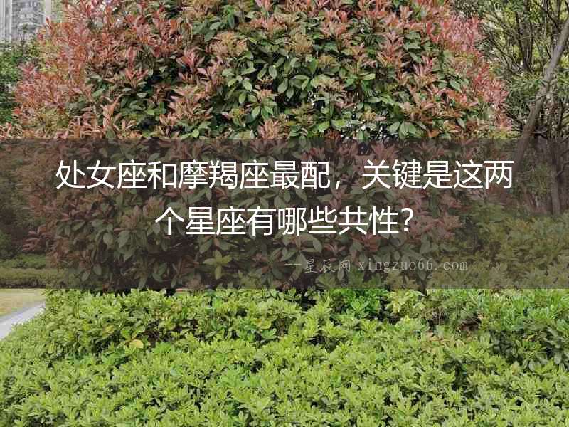處女座和摩羯座最配，關鍵是這兩個星座有哪些共性？
