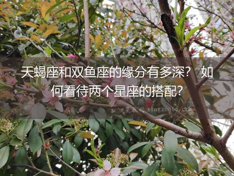 天蝎座和雙魚座的緣分有多深？ 如何看待兩個(gè)星座的搭配？