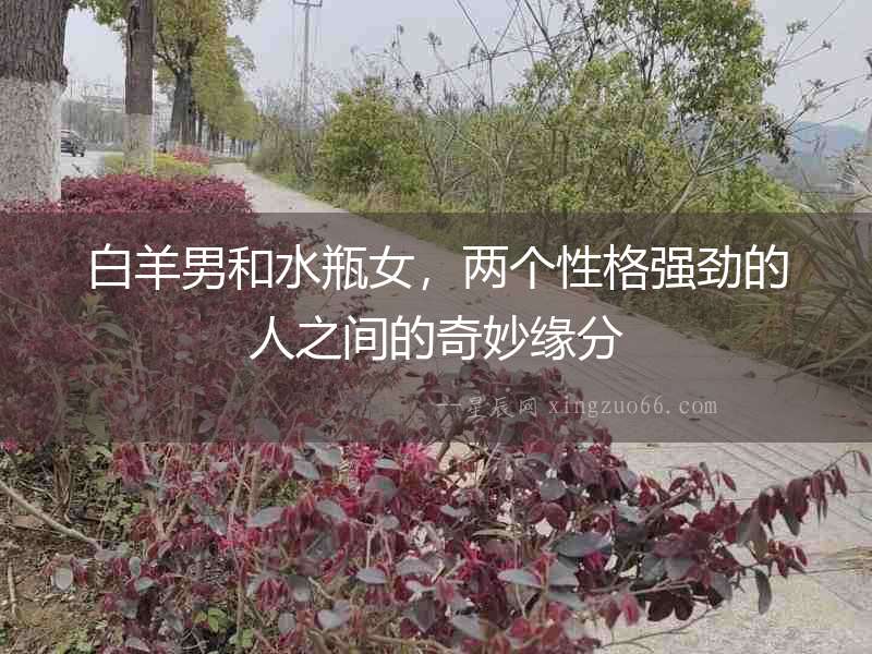 白羊男和水瓶女，兩個性格強勁的人之間的奇妙緣分