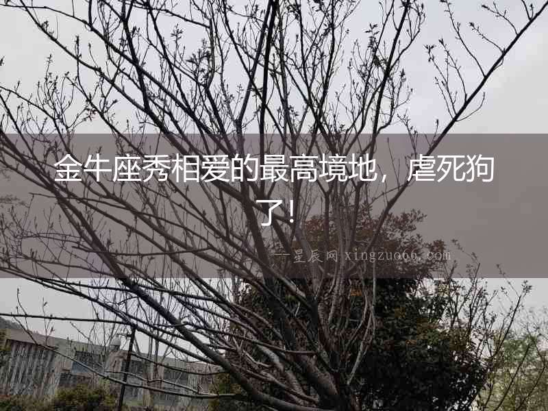 金牛座秀相愛(ài)的最高境地，虐死狗了！