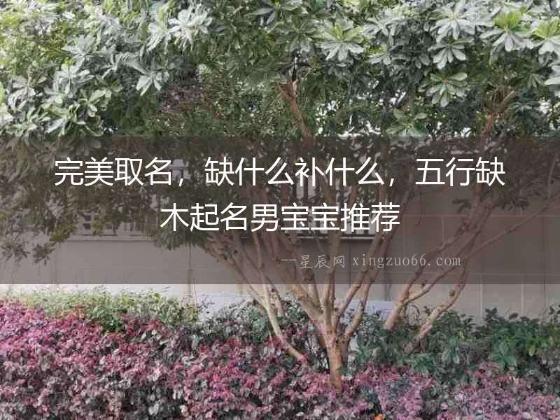 完美取名，缺什么補什么，五行缺木起名男寶寶推薦