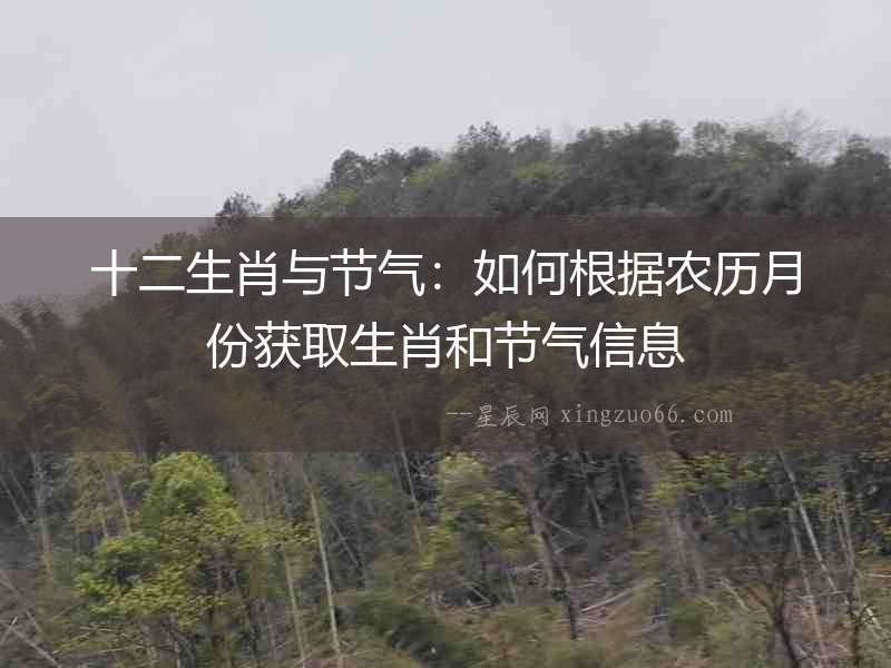 十二生肖與節(jié)氣：如何根據農歷月份獲取生肖和節(jié)氣信息