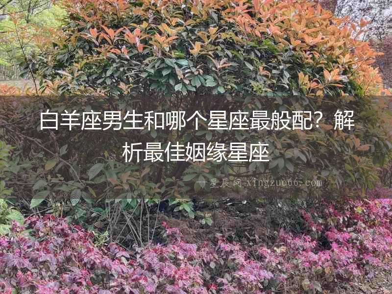 白羊座男生和哪個(gè)星座最般配？解析最佳姻緣星座