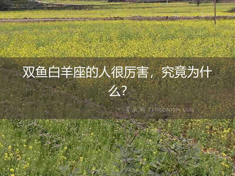 雙魚白羊座的人很厲害，究竟為什么？