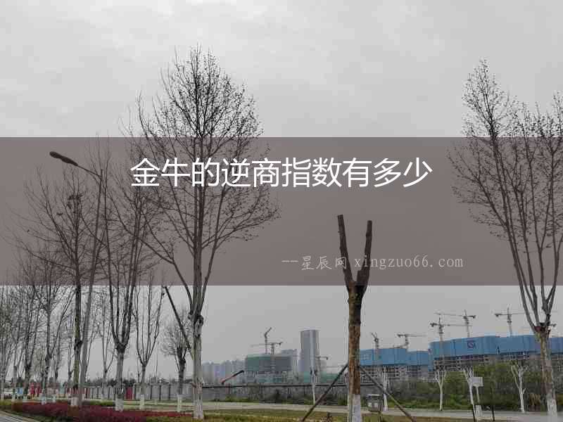 金牛的逆商指數(shù)有多少