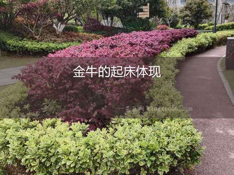 金牛的起床體現(xiàn)