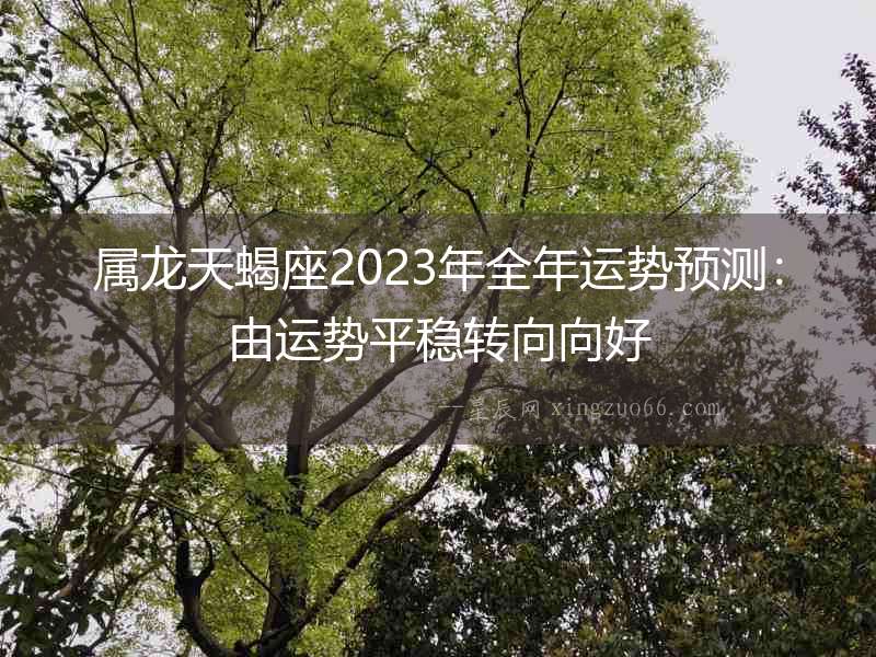 屬龍天蝎座2023年全年運勢預測：由運勢平穩轉向向好