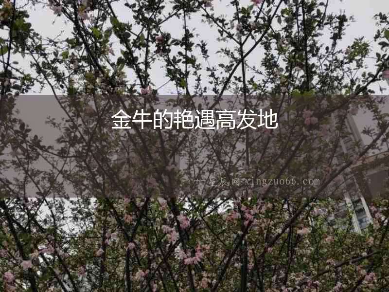 金牛的艷遇高發地