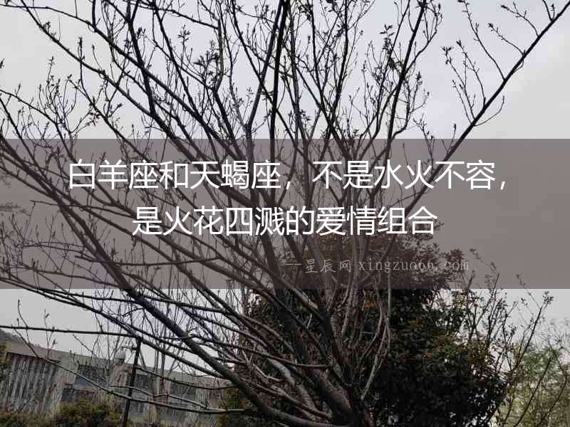 白羊座和天蝎座，不是水火不容，是火花四濺的愛情組合