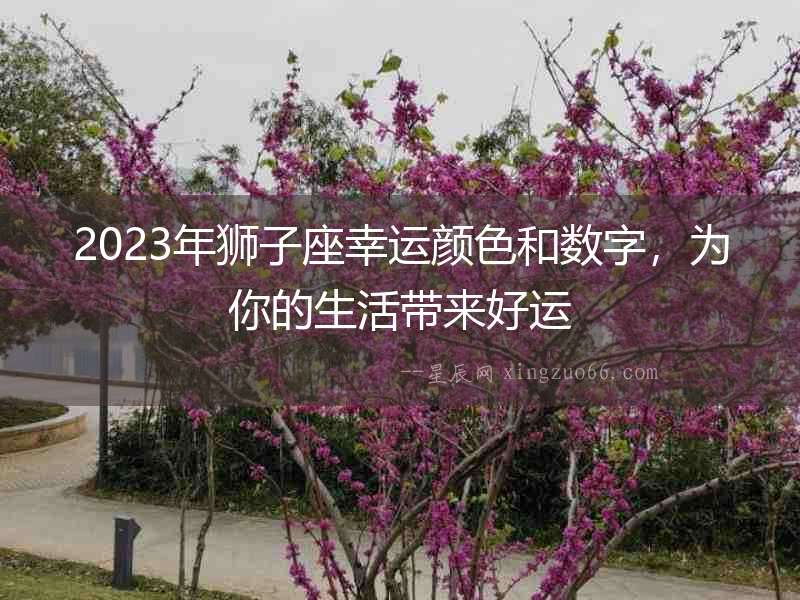 2023年獅子座幸運(yùn)顏色和數(shù)字，為你的生活帶來(lái)好運(yùn)