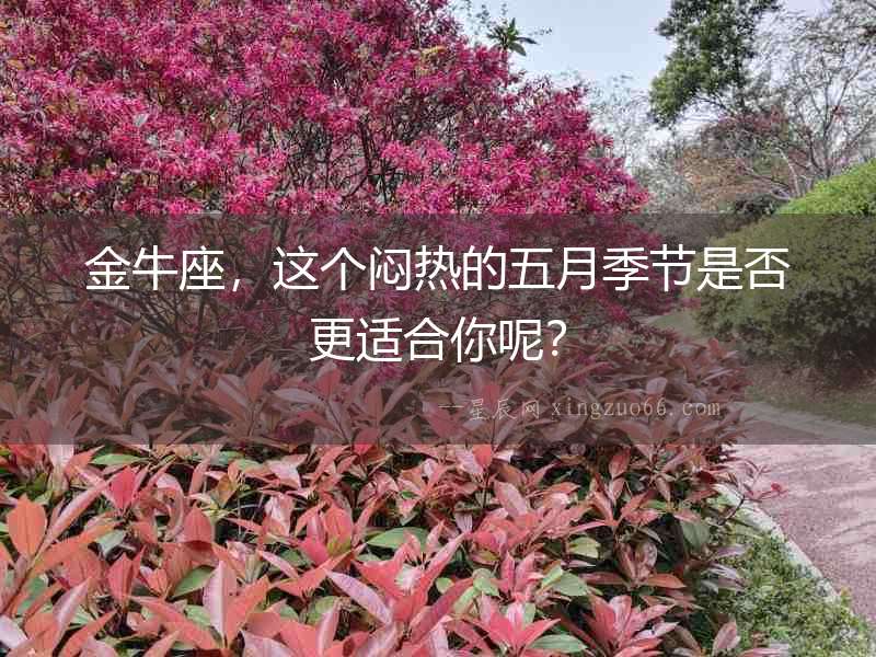 金牛座，這個悶熱的五月季節是否更適合你呢？
