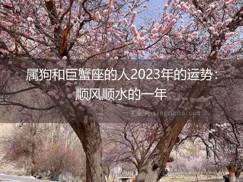 屬狗和巨蟹座的人2023年的運(yùn)勢(shì):順風(fēng)順?biāo)囊荒? alt=