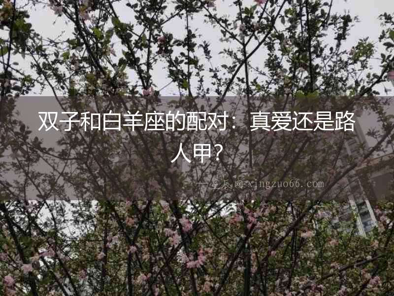 雙子和白羊座的配對：真愛還是路人甲？