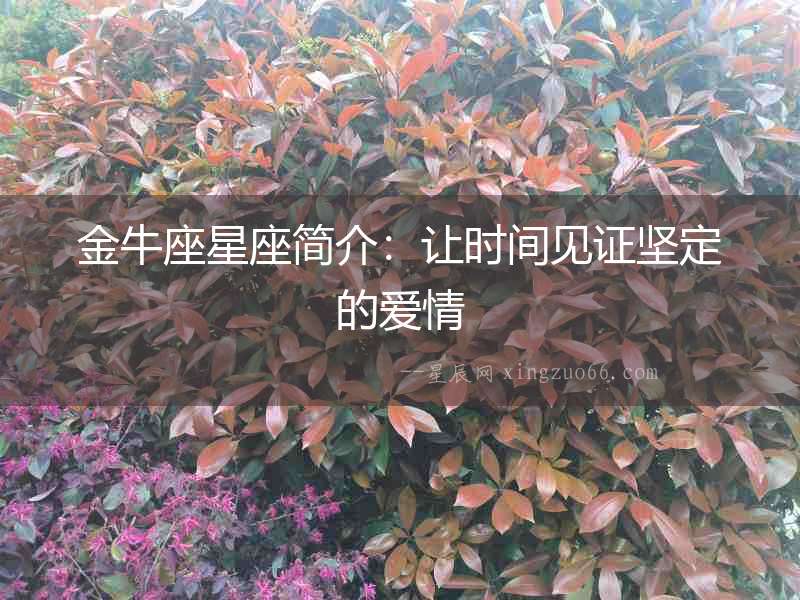 金牛座星座簡介：讓時間見證堅定的愛情