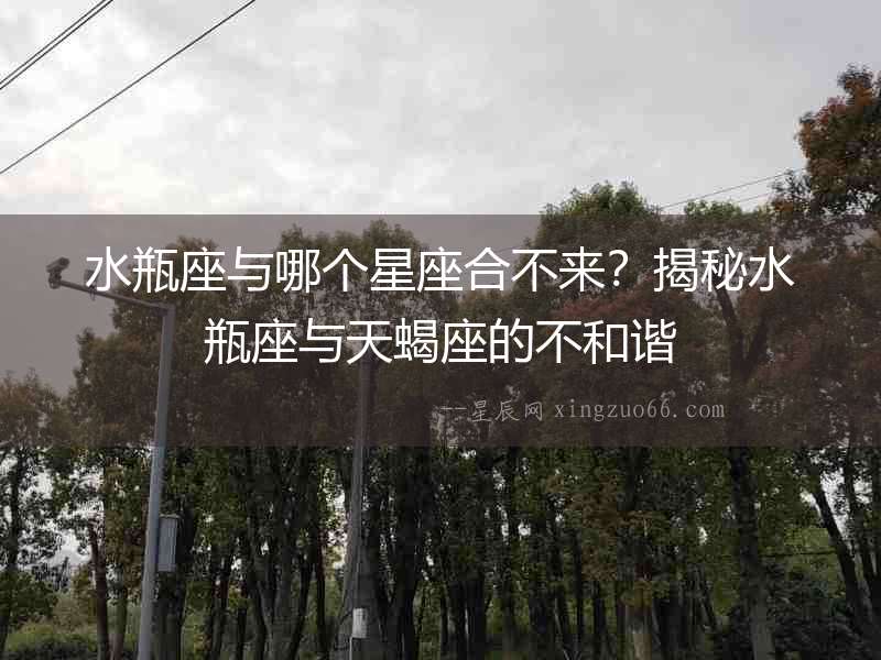 水瓶座與哪個星座合不來？揭秘水瓶座與天蝎座的不和諧