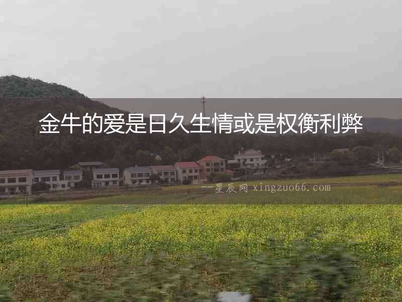 金牛的愛是日久生情或是權(quán)衡利弊