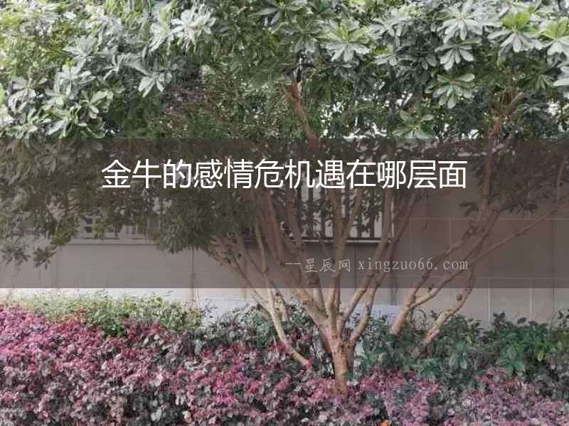 金牛的感情危機(jī)遇在哪層面