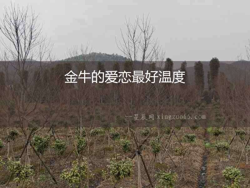 金牛的愛戀最好溫度
