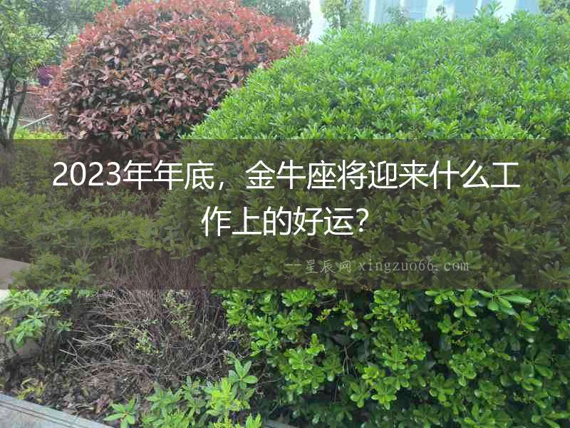 2023年年底，金牛座將迎來(lái)什么工作上的好運(yùn)？