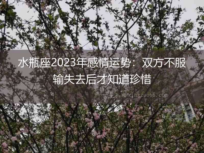 水瓶座2023年感情運(yùn)勢：雙方不服輸失去后才知道珍惜