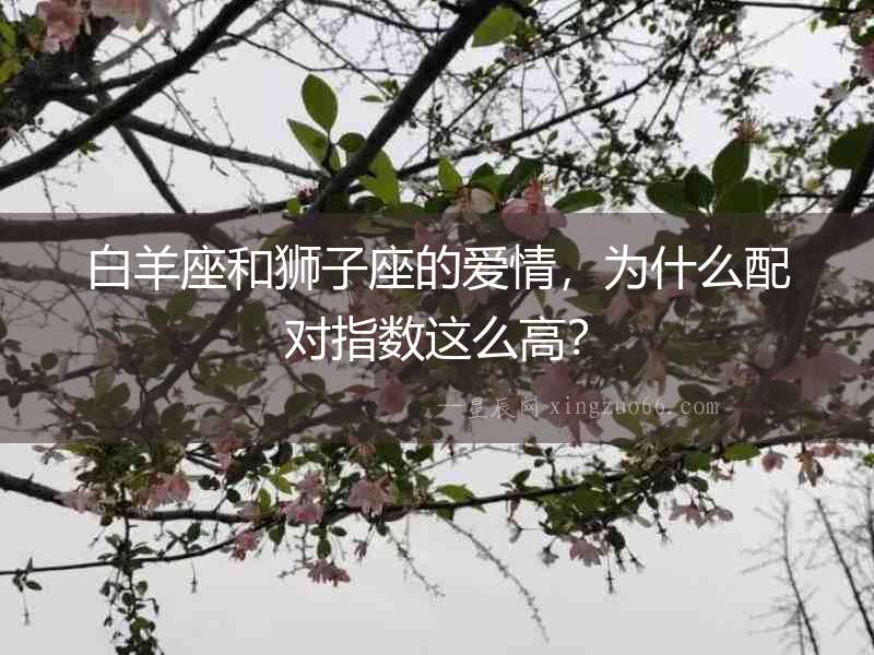 白羊座和獅子座的愛情，為什么配對指數(shù)這么高？