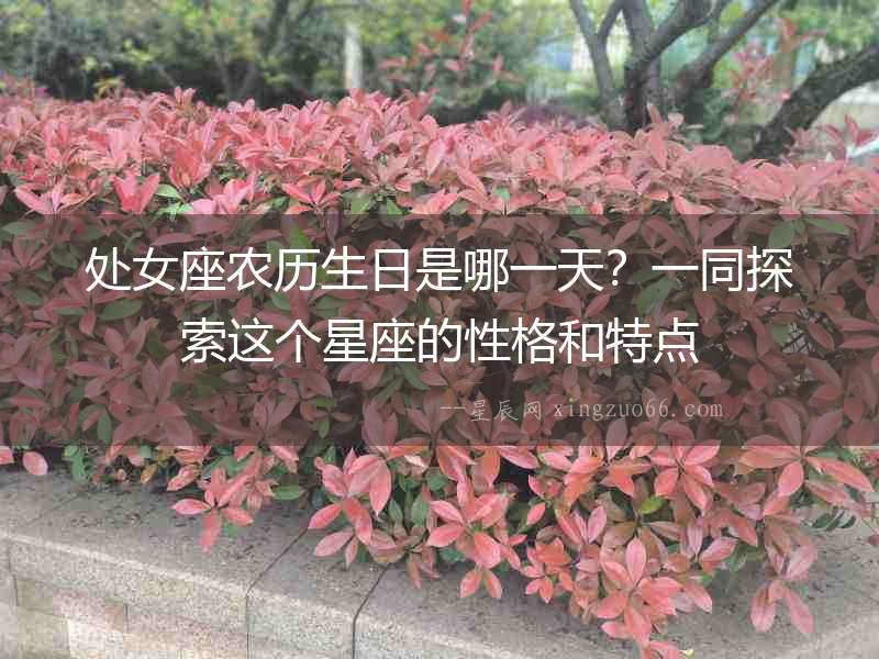處女座農歷生日是哪一天？一同探索這個星座的性格和特點
