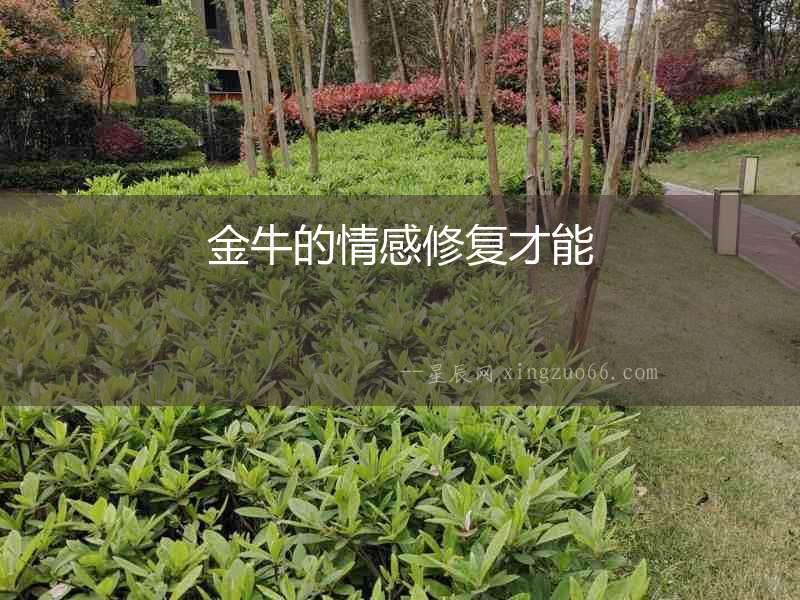 金牛的情感修復(fù)才能