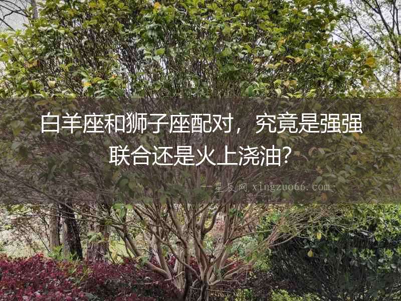 白羊座和獅子座配對，究竟是強強聯合還是火上澆油？