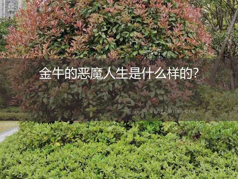 金牛的惡魔人生是什么樣的？