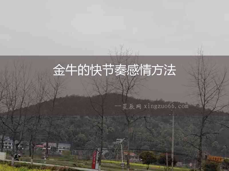 金牛的快節(jié)奏感情方法