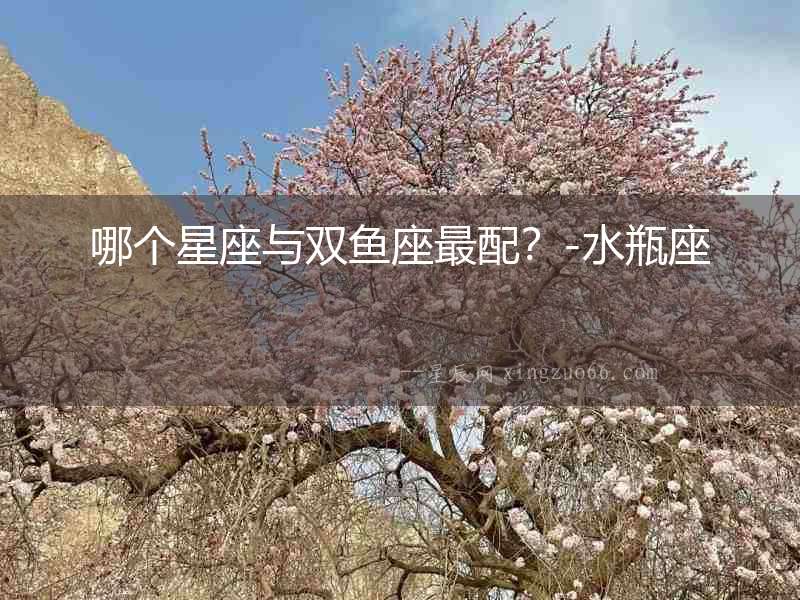 哪個星座與雙魚座最配？-水瓶座
