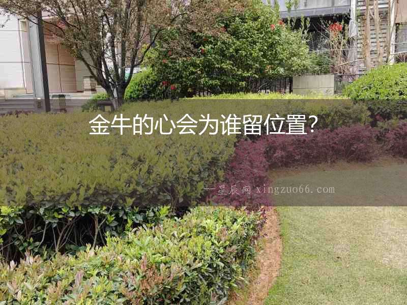 金牛的心會為誰留位置？
