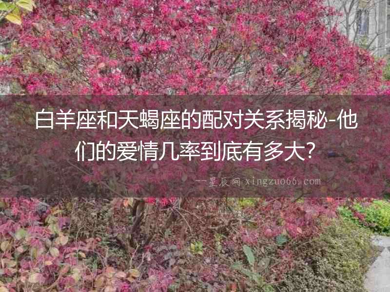 白羊座和天蝎座的配對關(guān)系揭秘-他們的愛情幾率到底有多大？