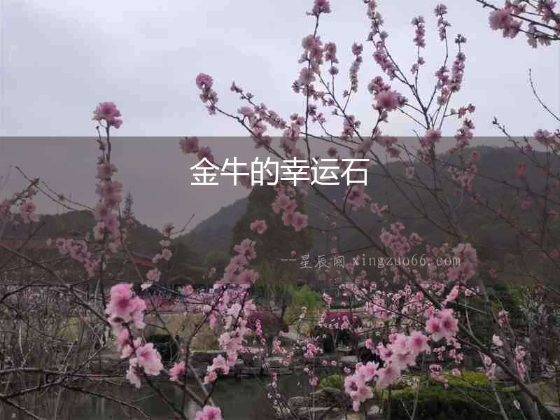 金牛的幸運(yùn)石
