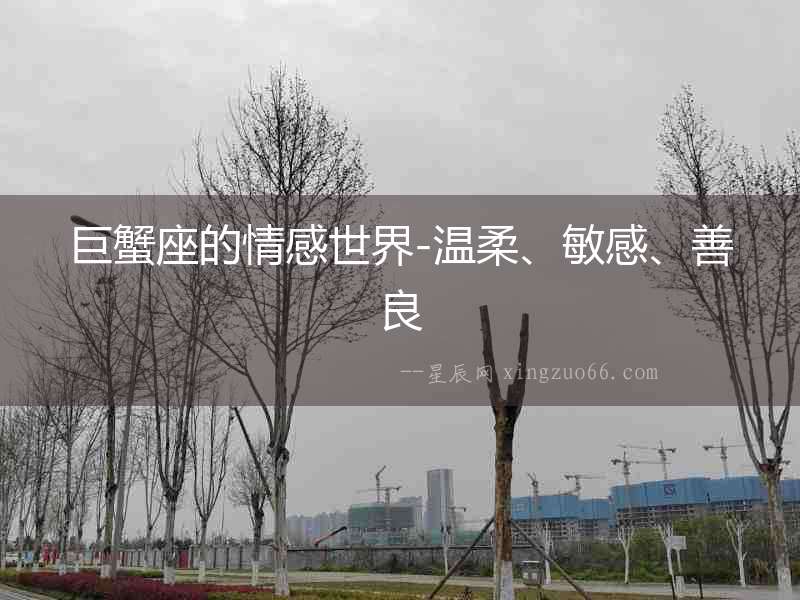 巨蟹座的情感世界-溫柔、敏感、善良