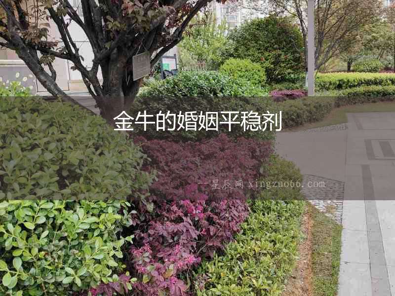 金牛的婚姻平穩劑