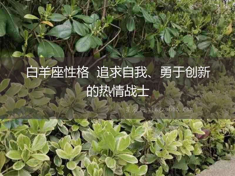 白羊座性格  追求自我、勇于創新的熱情戰士