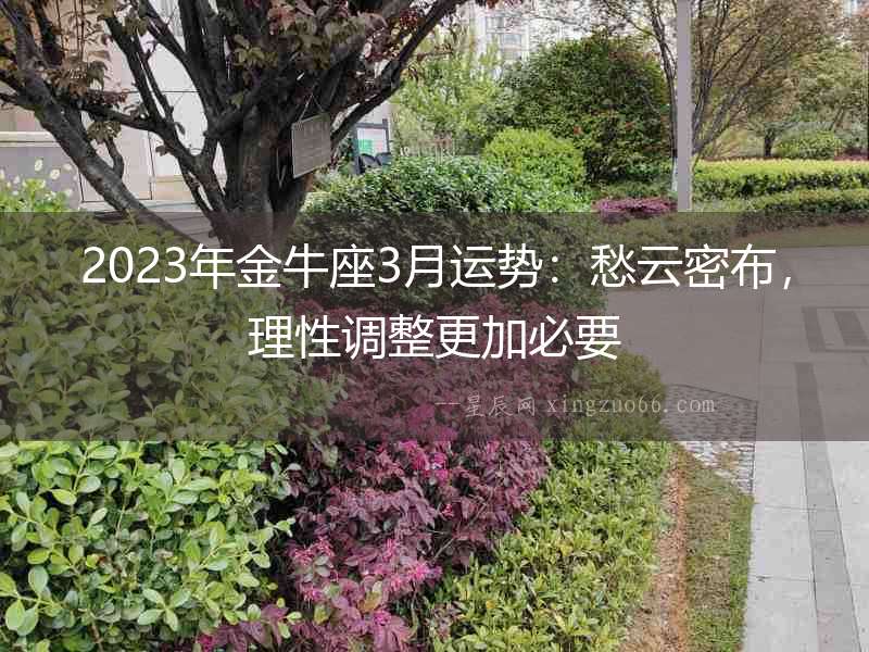 2023年金牛座3月運勢：愁云密布，理性調整更加必要